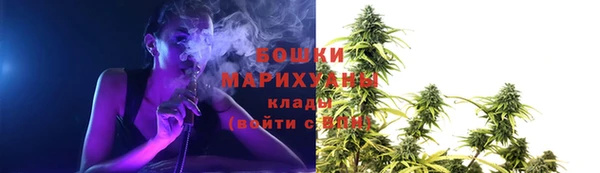 ГАЛЛЮЦИНОГЕННЫЕ ГРИБЫ Михайловка