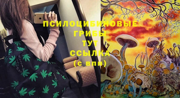 трава Михайлов